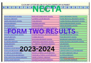 NECTA Form Two Results Mbeya 2023-2024