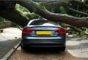 Comprehensive Car Insurance for Students